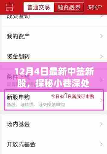 探秘最新中签新股，小巷深处的宝藏与背后故事揭秘