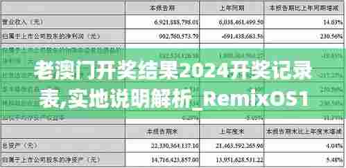 老澳门开奖结果2024开奖记录表,实地说明解析_RemixOS10.589