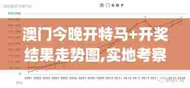 澳门今晚开特马+开奖结果走势图,实地考察数据执行_5DM9.343