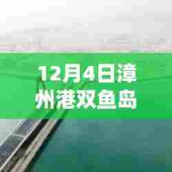 12月4日漳州港双鱼岛热门消息全攻略，掌握最新资讯与动态