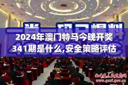 2024年澳门特马今晚开奖341期是什么,安全策略评估_Prime10.254