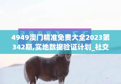4949澳门精准免费大全2023第342期,实地数据验证计划_社交版10.414