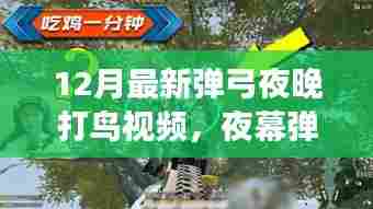 夜幕弹弓,探寻最新弹弓夜晚打鸟视频的秘密