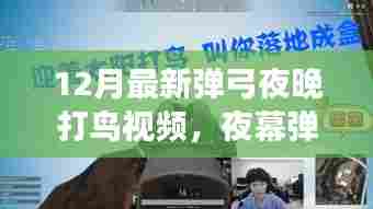 夜幕弹弓，探寻最新弹弓夜晚打鸟视频的秘密