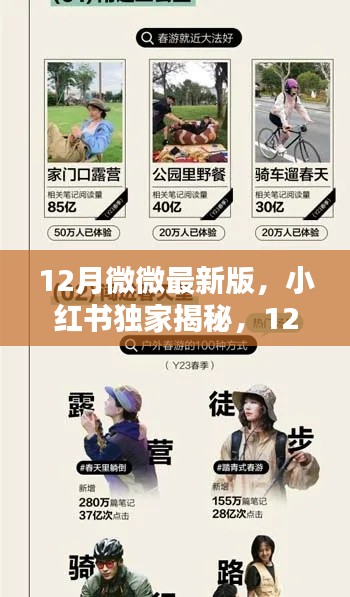 独家揭秘！小红书引领的时尚潮流指南，12月最新版潮流趋势预测