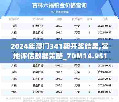 2024年澳门341期开奖结果,实地评估数据策略_7DM14.951