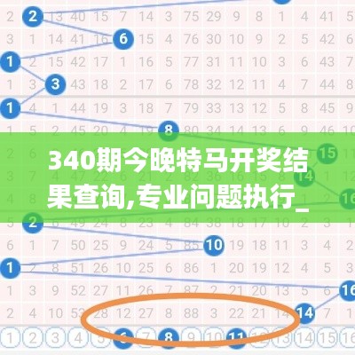 340期今晚特马开奖结果查询,专业问题执行_进阶版1.539