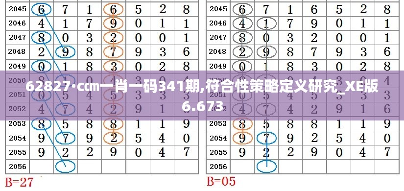 62827·c㎝一肖一码341期,符合性策略定义研究_XE版6.673