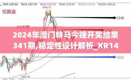 2024年澳门特马今晚开奖结果341期,稳定性设计解析_XR14.996