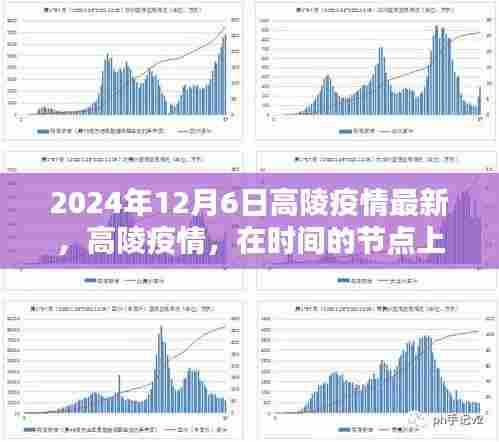2024年12月6日高陵疫情最新进展，时间节点上的深刻记忆
