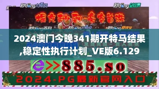 2024澳门今晚341期开特马结果,稳定性执行计划_VE版6.129