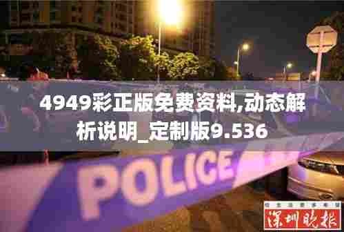 4949彩正版免费资料,动态解析说明_定制版9.536