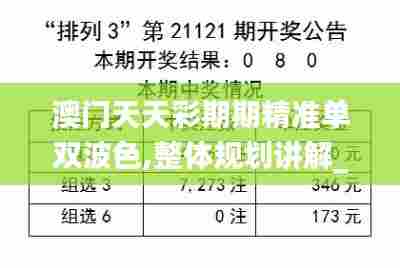 澳门天天彩期期精准单双波色,整体规划讲解_专属款3.285