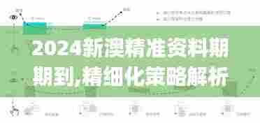 2024新澳精准资料期期到,精细化策略解析_PalmOS19.777