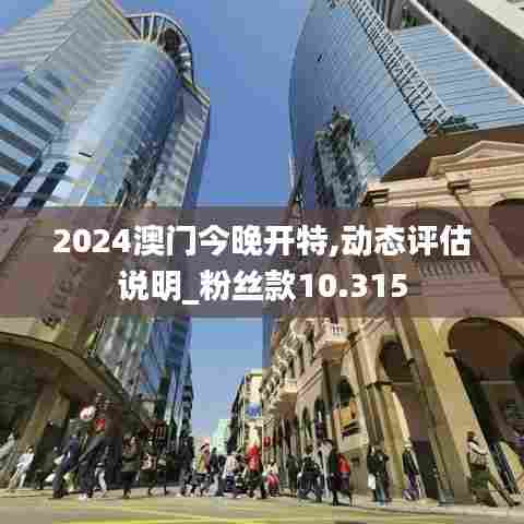 2024澳门今晚开特,动态评估说明_粉丝款10.315
