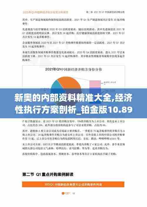 新奥的内部资料精准大全,经济性执行方案剖析_铂金版10.895
