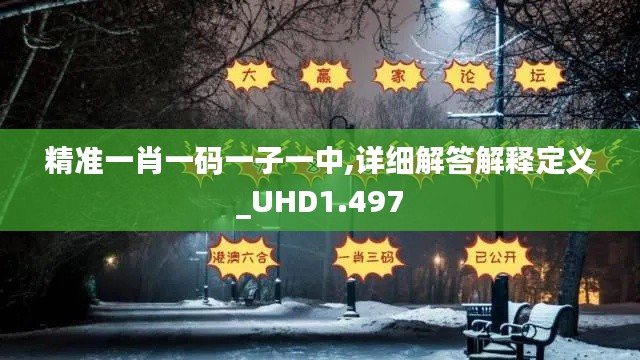 精准一肖一码一子一中,详细解答解释定义_UHD1.497