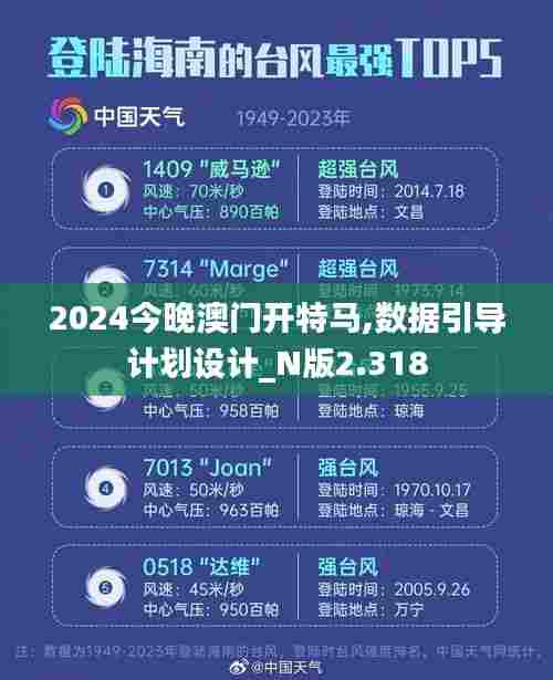 2024今晚澳门开特马,数据引导计划设计_N版2.318