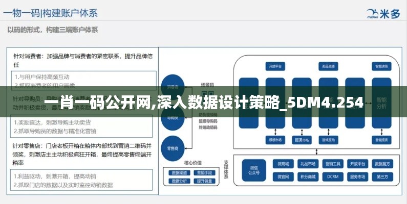 一肖一码公开网,深入数据设计策略_5DM4.254