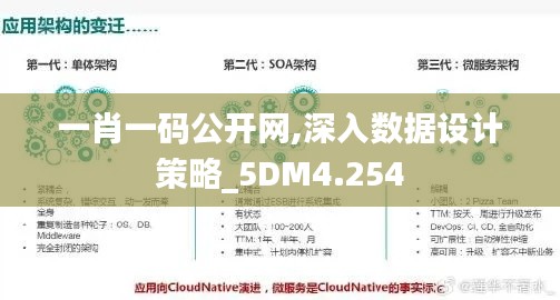 一肖一码公开网,深入数据设计策略_5DM4.254