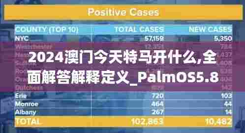 2024澳门今天特马开什么,全面解答解释定义_PalmOS5.851