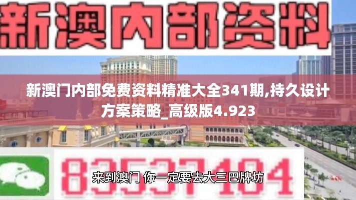 新澳门内部免费资料精准大全341期,持久设计方案策略_高级版4.923