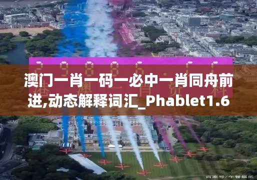 澳门一肖一码一必中一肖同舟前进,动态解释词汇_Phablet1.642