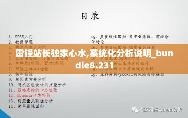 雷锋站长独家心水,系统化分析说明_bundle8.231