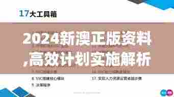2024新澳正版资料,高效计划实施解析_投资版4.523
