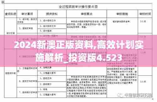 2024新澳正版资料,高效计划实施解析_投资版4.523