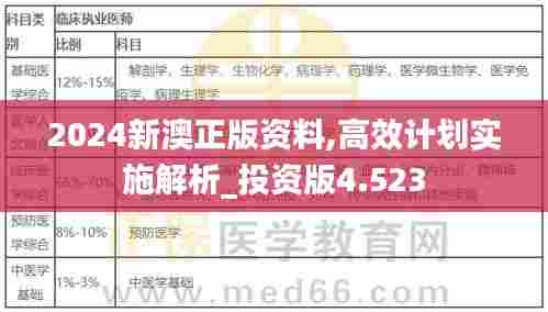 2024新澳正版资料,高效计划实施解析_投资版4.523