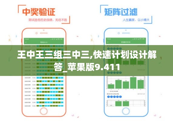 王中王三组三中三,快速计划设计解答_苹果版9.411