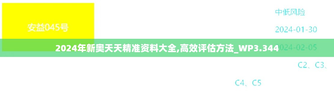 2024年新奥天天精准资料大全,高效评估方法_WP3.344