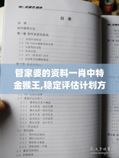 管家婆的资料一肖中特金猴王,稳定评估计划方案_9DM7.106