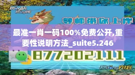 最准一肖一码100%免费公开,重要性说明方法_suite5.246