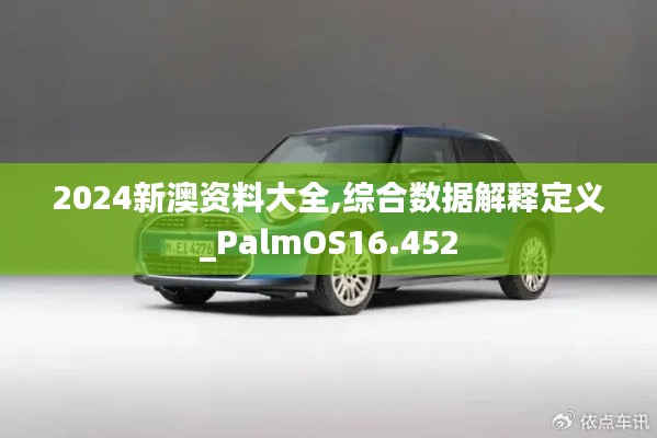 2024新澳资料大全,综合数据解释定义_PalmOS16.452