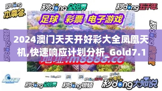 2024澳门天天开好彩大全凤凰天机,快速响应计划分析_Gold7.146