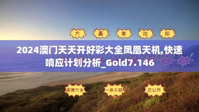 2024澳门天天开好彩大全凤凰天机,快速响应计划分析_Gold7.146