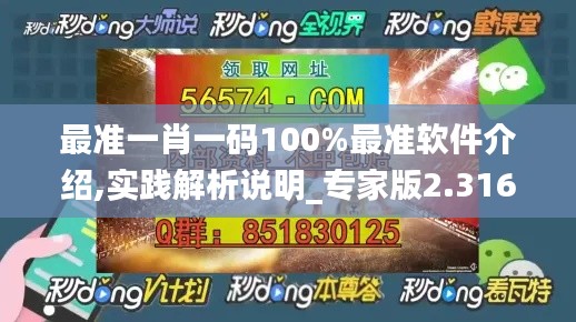 最准一肖一码100%最准软件介绍,实践解析说明_专家版2.316