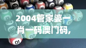 2004管家婆一肖一码澳门码,理论解答解释定义_RemixOS8.242