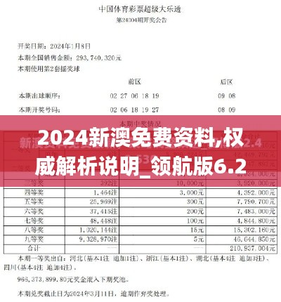 2024新澳免费资料,权威解析说明_领航版6.255