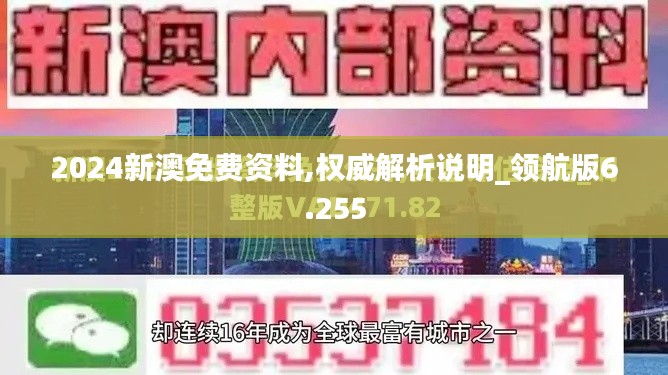 2024新澳免费资料,权威解析说明_领航版6.255