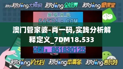 澳门管家婆-肖一码,实践分析解释定义_7DM18.533