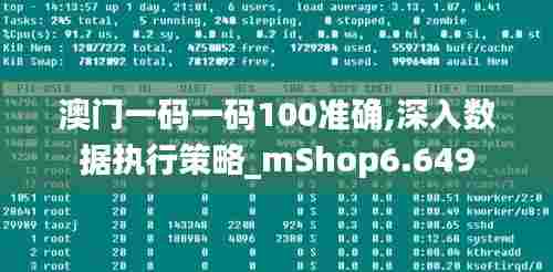 澳门一码一码100准确,深入数据执行策略_mShop6.649