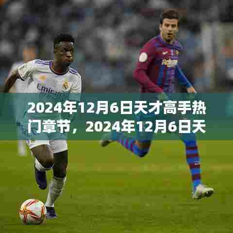 2024年12月6日天才高手热门章节,2024年12月6日天才高手热门章节之我见
