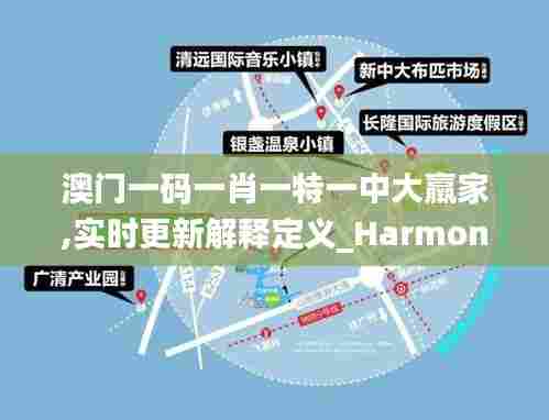 澳门一码一肖一特一中大羸家,实时更新解释定义_Harmony1.787