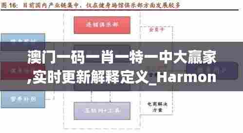 澳门一码一肖一特一中大羸家,实时更新解释定义_Harmony1.787