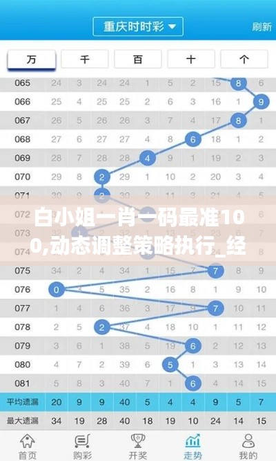 白小姐一肖一码最准100,动态调整策略执行_经典款9.987