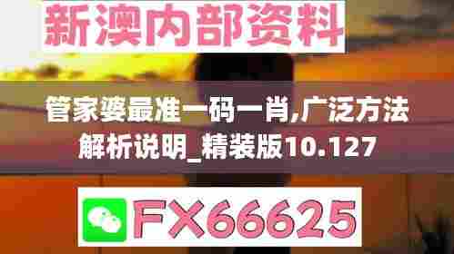 管家婆最准一码一肖,广泛方法解析说明_精装版10.127