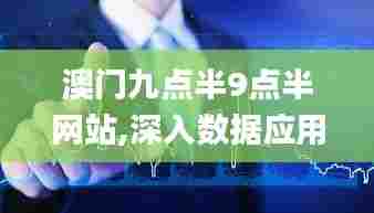 澳门九点半9点半网站,深入数据应用计划_4K8.423